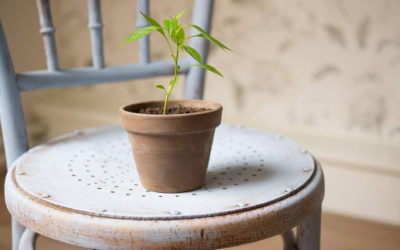 FUNDRAISING NENÍ O PENĚZÍCH