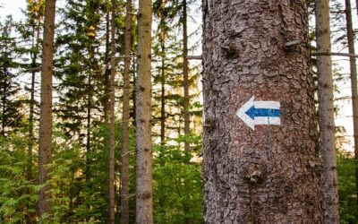 SROZUMITELNÁ KOMUNIKACE JE PRVNÍ KROK K ZÍSKÁNÍ PENĚZ NA VÁŠ PROJEKT