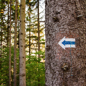 Turistická značka modrá šipka na stromě