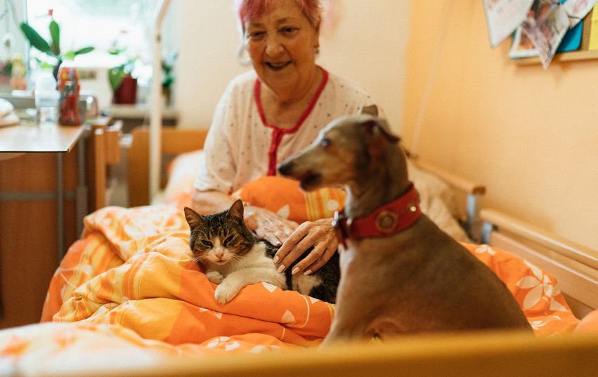 Seniorka při zooterapii hladí kočku a psa